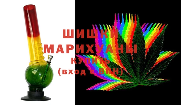 прущие грибы Балабаново