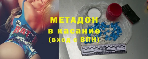 прущие грибы Балабаново
