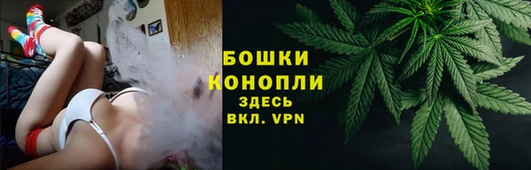 прущие грибы Балабаново
