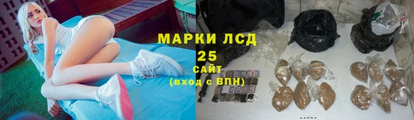 СК Балахна