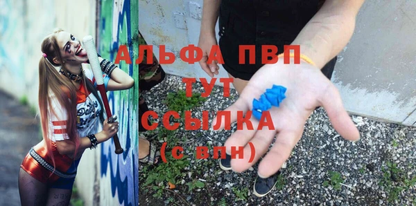 прущие грибы Балабаново