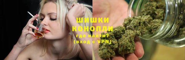 прущие грибы Балабаново