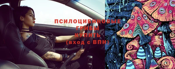 СК Балахна