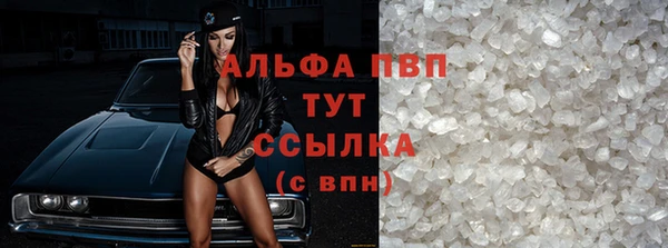 прущие грибы Балабаново