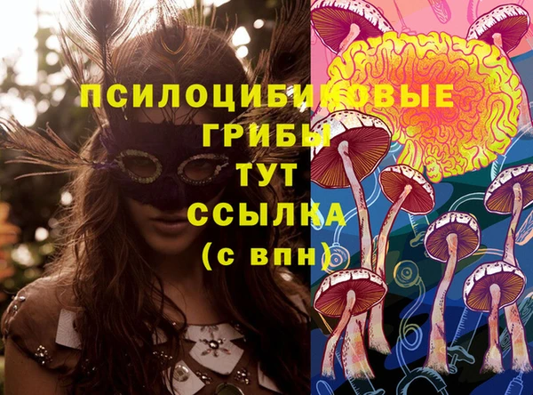 СК Балахна