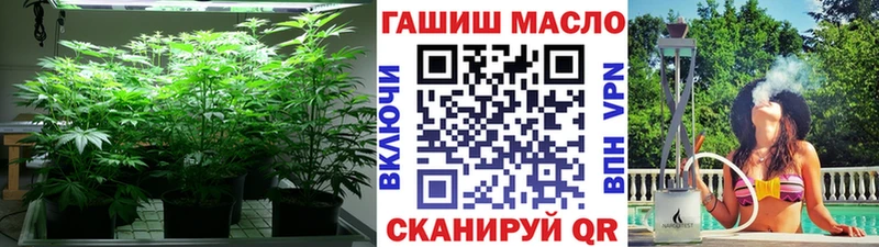 магазин продажи наркотиков  МЕГА рабочий сайт  ТГК гашишное масло  Городовиковск 